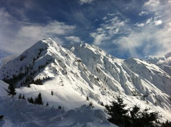 Tour Zu Fuß Bagolino - Pisisidol - Giogo del Maniva - Photo