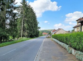 Randonnée A pied Beyren-lès-Sierck - Boucle de Gandren - Photo