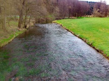 Tour Zu Fuß Burgsinn - Ortswanderweg Burgsinn 7 - Photo