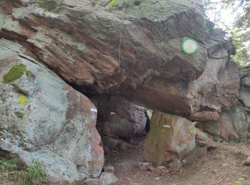 Tour Wandern Celles-sur-Plaine - tête du coquin  - Photo