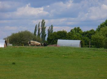 Tour Zu Fuß East Hampshire - Food and Farming Trails - Photo