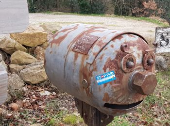 Excursión Marcha nórdica Lodève - Chemin des Tines - La Défriche - Belbezet - Montifort - Photo