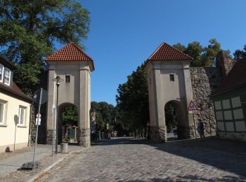 Tour Zu Fuß Templin - Sechs-Seen-Rundweg (Teilstück) - Photo