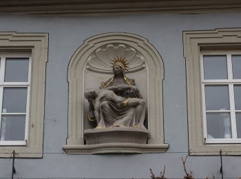 Excursión A pie Randersacker - Weinwanderung 'Pfülben' - Photo