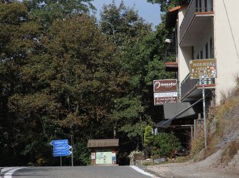 Tocht Te voet Borgo San Lorenzo - IT-34 - Photo
