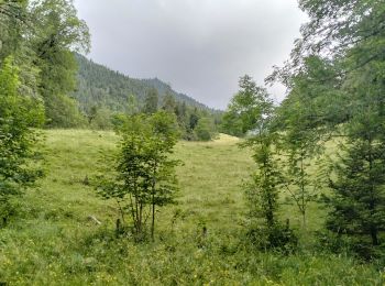 Trail Walking Saint-Pierre-de-Chartreuse - 38-chartreuse-Haberts-Arpison-16km900m - Photo