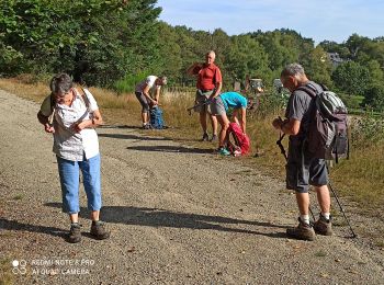 Percorso Marcia Peyrat-le-Château - Autour du bois de crozat - Photo