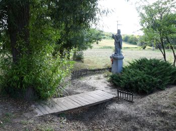 Randonnée A pied Kisszékely - Vadkörte körút - Photo