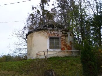 Tocht Te voet Allhaming - Rundwanderweg Sipbach - Photo