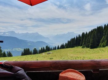 Tour Wandern Leysin - solacyre - Photo