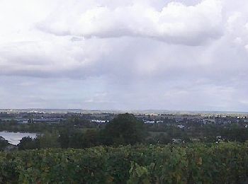 Tour Zu Fuß Gennes-Val-de-Loire - De Loire et Forêt - Photo