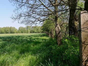 Percorso A piedi Norderstedt - Wanderrunde zwischen den Mooren - Photo