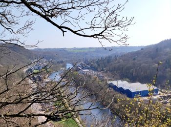 Trail Walking Esneux - Promenade autour de Brialmont - Photo