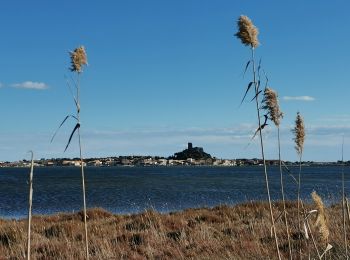 Trail Walking Gruissan - Gruissan Les goules La capoulade - Photo