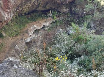 Tour Wandern Saint-Paul - Piton des Orangers - Photo