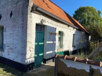 Trail Walking Ellezelles - La Hamaide 10 km - Photo