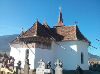 Tour Zu Fuß Unbekannt - Zărnești -Brâna Caprelor-Zărnești - Photo