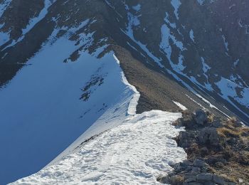 Randonnée Marche Seyne - Seyne première  bosse dos de chameau 9km 950m - Photo