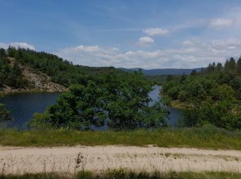 Tocht Stappen Seillans - lac de meaulx - Photo