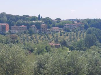 Tocht Stappen Monteriggioni - CR_Francigena_DE_41_Monteriggioni_Siena_20230523 - Photo