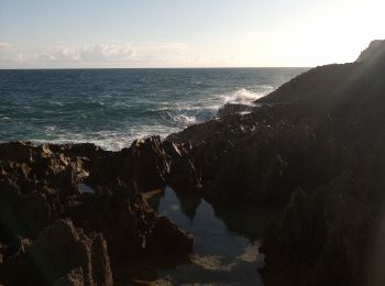 Tour Wandern Le Moule - Porte d'Enfer - Anse Gros Morne - Photo