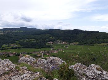 Tour Wandern Vergisson - Les 2 Roches Solutre - Photo