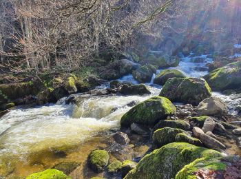 Trail Walking Luzenac - cabane  coumels - Photo