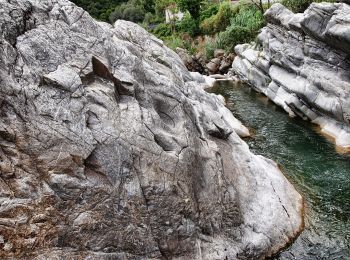 Percorso A piedi Badalucco - Anello Madonna della Neve - Photo