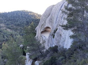 Tour Wandern Évenos - gres de sainte anne  - Photo