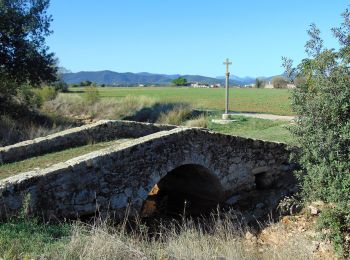 Trail On foot Serinyà - Sant Galderic - Photo