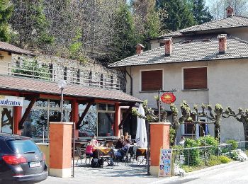 Tour Zu Fuß Trarego Viggiona - R46 Molineggi - Viggiona - Trarego - Photo