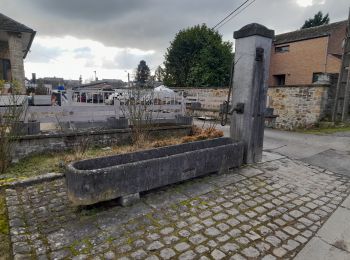 Tour Wandern Havelange - Marche ADEPS 10km500 à Havelange - Photo