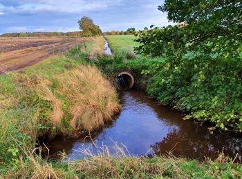 Randonnée A pied Fintel - Nordpfad 'Haxloher Erde' - Photo