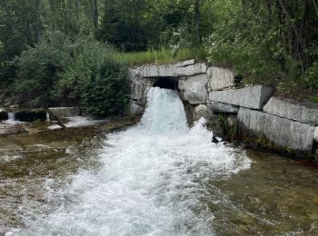 Trail Walking Baceno - 21.06.2023 - Baceno - Les Gouffres d'Uriezzo - Photo