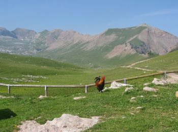 Tour Zu Fuß Ville d'Anaunia - Sentiero della Val Formiga - Photo