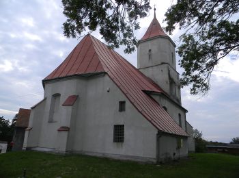 Tocht Te voet Krzeczyn Mały - Dookoła Lubina - Photo