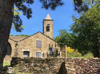 Tocht Stappen Riols - Riols - Notre-Dame-de-Tredos - Photo