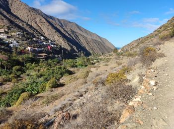 Tocht Stappen Vallehermoso - Vallehermoso - Cumbre de Chijeré - Photo