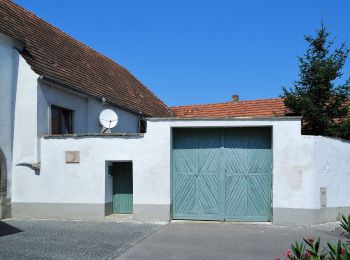 Tour Zu Fuß Gemeinde Mannersdorf am Leithagebirge - Mannersdorf - Purbach - Photo