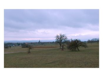 Randonnée A pied Bouxwiller - Sentier Géologique / Sentier des Chortens - Photo