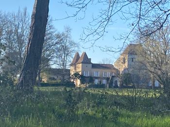 Excursión Senderismo Mauvezin-d'Armagnac - Mauvezin d’Armagnac réalisé  - Photo