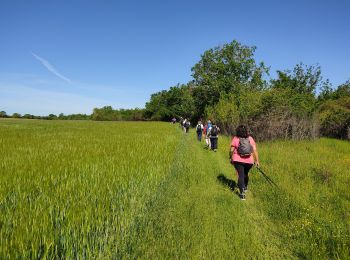 Percorso Marcia Étampes - base de loisirs d'Etampes - Photo