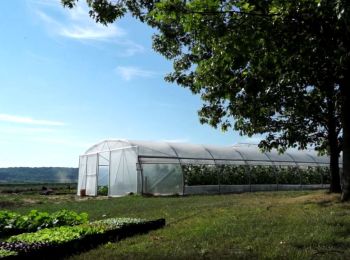 Randonnée Vélo électrique Renaix - Renaix - Ferme de la Rigaudière  - Photo