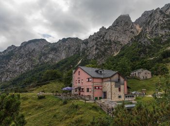 Tocht Te voet Recoaro Terme - Anello Ecoturistico Piccole Dolomiti 010 - Photo