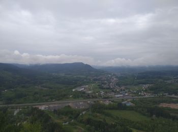 Randonnée V.T.T. Raon-l'Étape - VTT Pierre d'Appel avec Fab et Ange 19.05.19 - Photo