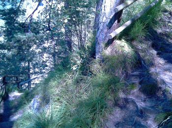 Trail On foot Gemeinde Söll - Wanderweg 58 - Wilder Kaiser - Photo