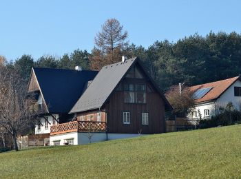 Trail On foot Gemeinde Klausen-Leopoldsdorf - Agsbach - Pfalzau - Photo