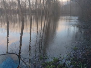 Randonnée Quad Les Avenières Veyrins-Thuellin - inondation - Photo