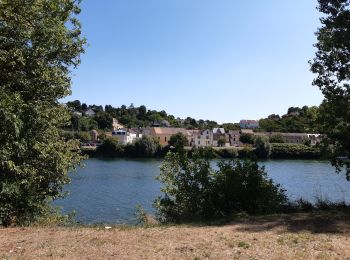 Percorso Marcia Maisons-Laffitte - Vers le bac d'Herblay - Photo