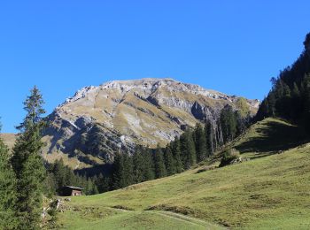 Randonnée A pied La Lenk - Lenk (Ritzdole) - Lenk (Simmenfälle) - Photo